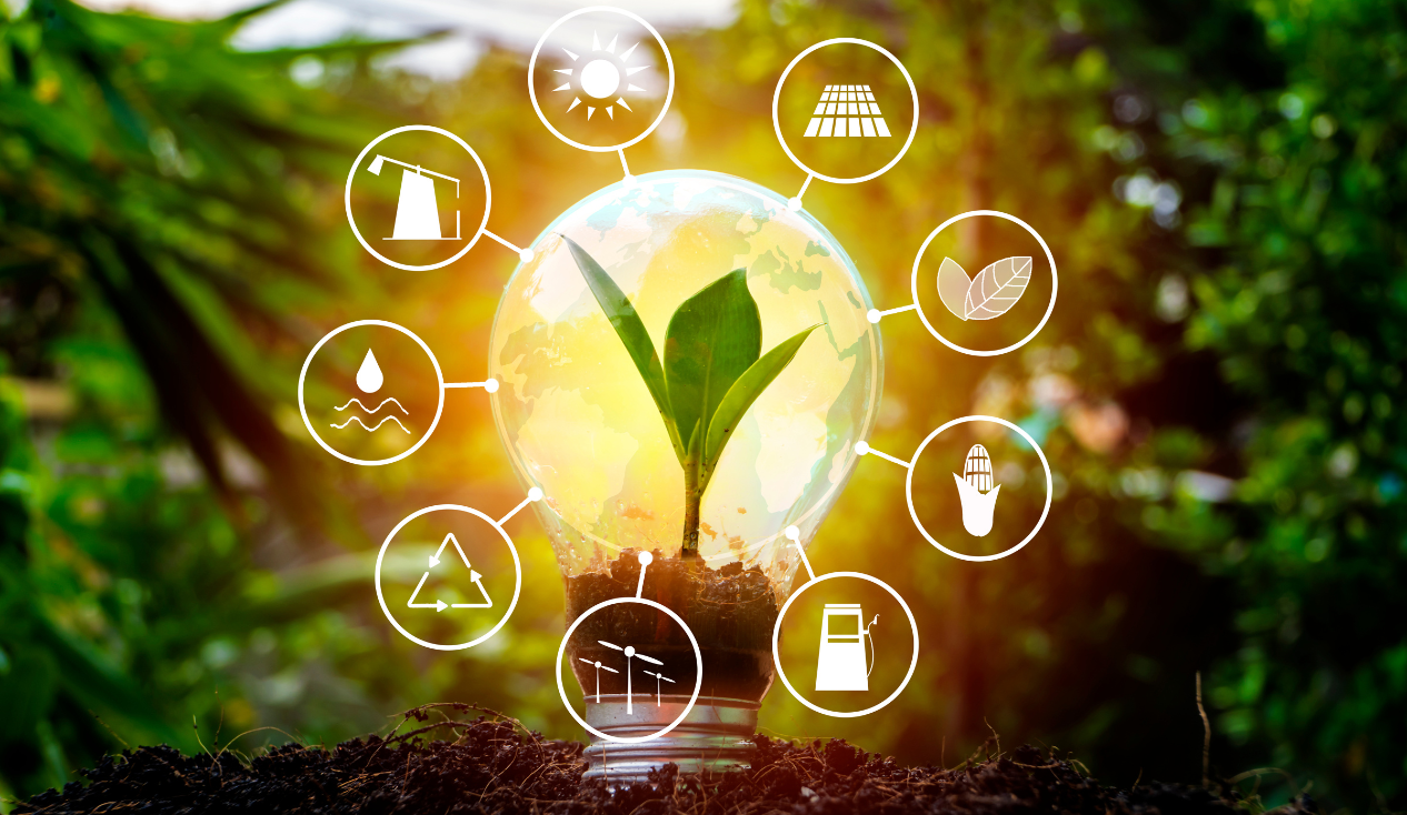 Renewable Energy Sources: Types and Key Benefits